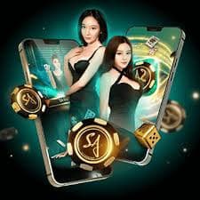 qq101